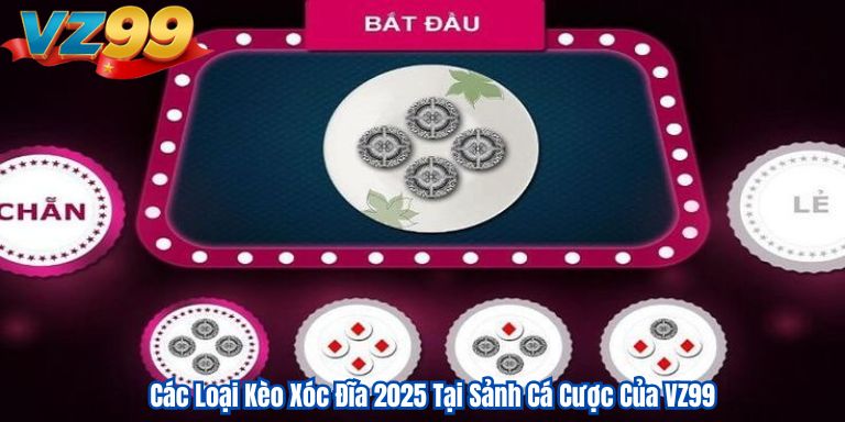 Các Loại Kèo Xóc Đĩa 2025 Tại Sảnh Cá Cược Của VZ99